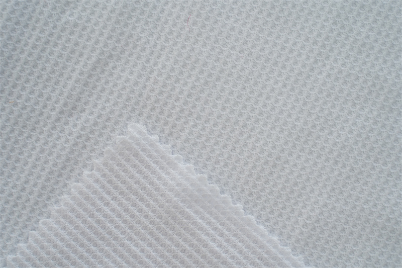 HACCI CVC New Design Fabric