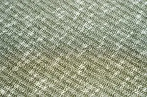 HACCI Slub Jacquard 4×4 Rib